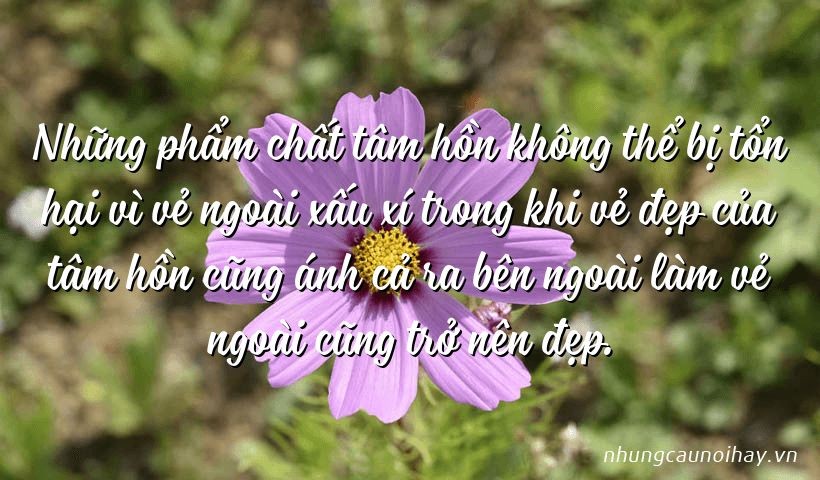 nhung-pham-chat-tam-hon-khong-the-bi-ton-hai-vi-ve-ngoai-xau-xi-trong-khi-ve-dep-cua-tam-hon-cung-anh-ca-ra-ben-ngoai-lam-ve-ngoai-cung-tro-nen-dep-1627887106.jpg