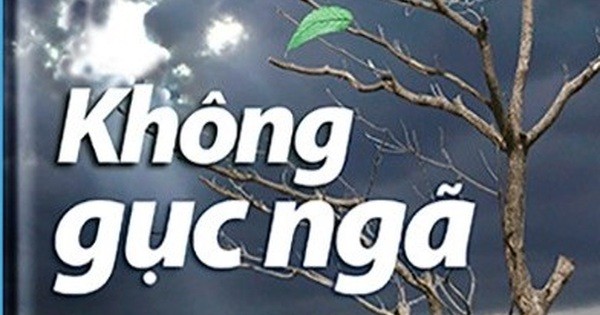 Sách đã “chữa lành” tôi thế nào?