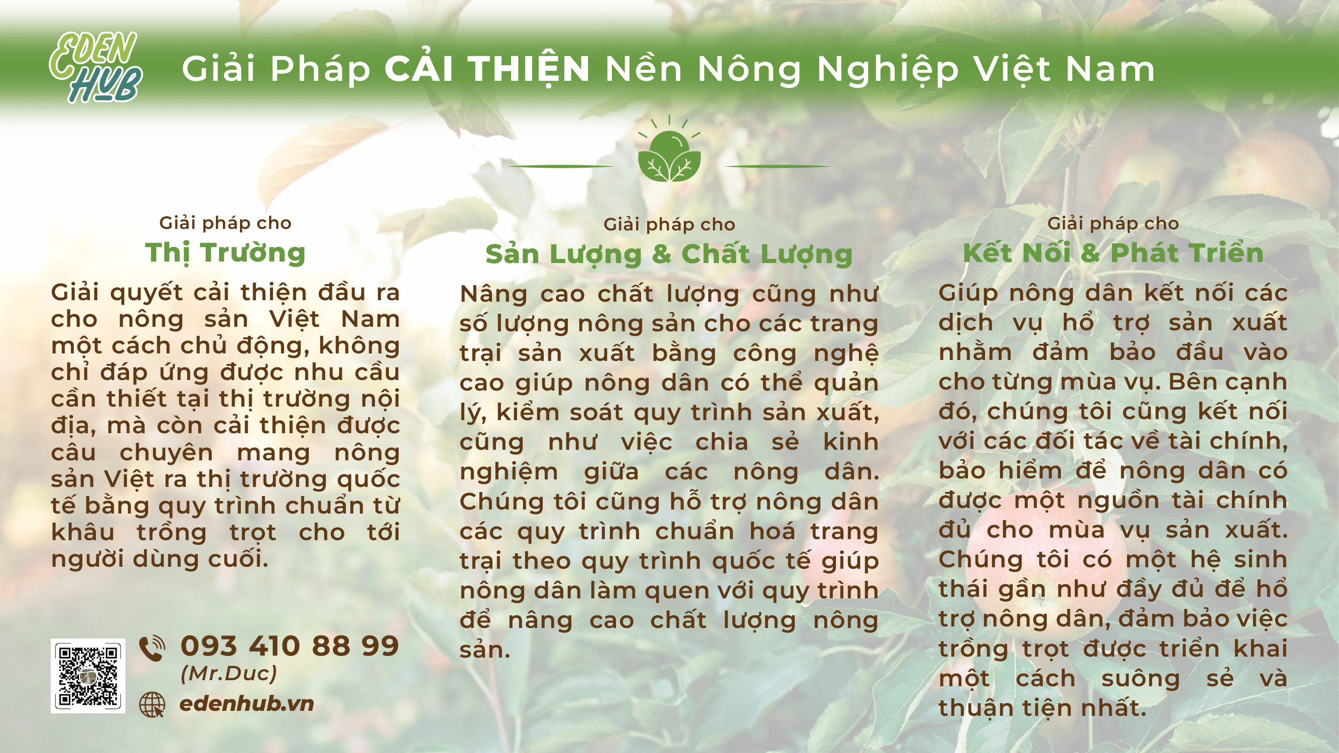 banner-facebook-giai-phap-cai-thien-min-1728890041.png