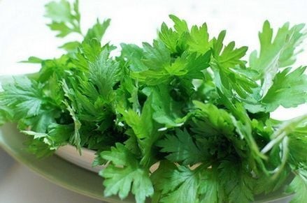 Nếu thuộc 1 trong 4 nhóm người này thì chớ dại mà ăn rau ngải cứu