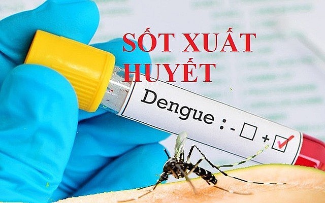 Sốt xuất huyết có nên cạo gió không?