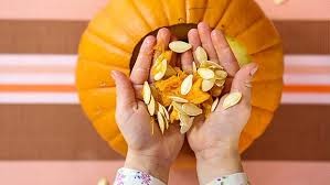 Hạt bí ngô, sử quân tử & cây bách bộ là 3 vị thuốc có tác dụng trị giun sán rất hữu hiệu