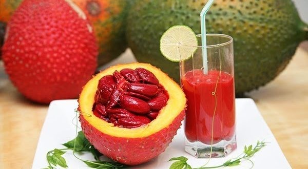 Quả gấc có thể giảm nguy cơ mắc bệnh ung thư?