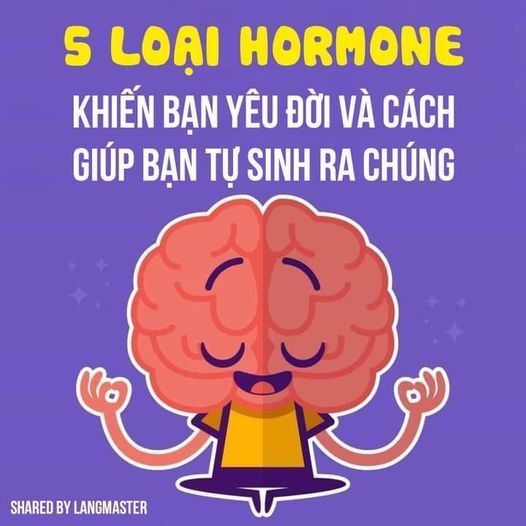 5-loai-hormone-1642488758.jpg