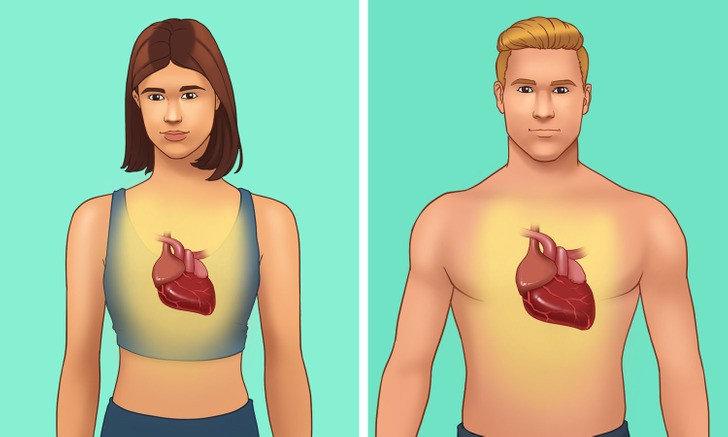 10 điều về sự khác biệt giữa cơ thể của nam giới và nữ giới