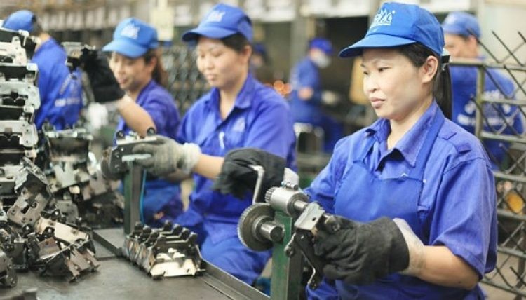 Thị trường lao động có dấu hiệu phục hồi tích cực, mở ra nhiều cơ hội việc làm