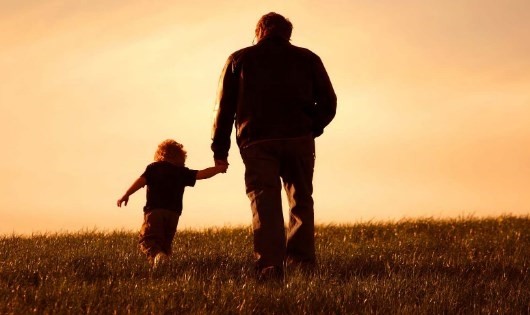 Sức hấp dẫn từ quý ông gà trống nuôi con