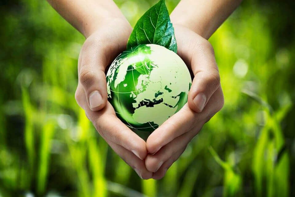 Sống xanh là gì? Làm sao để sống xanh?