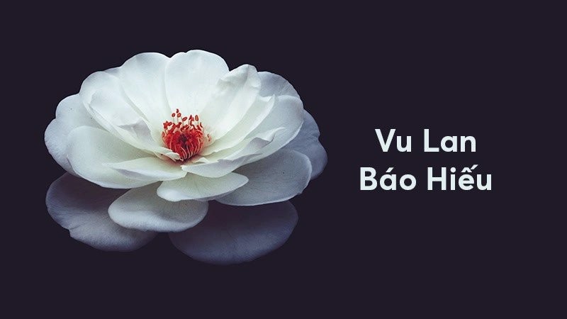 vu-lan-bao-hieu-fb0b9584127b4f0b932de24fabf1f844-1024x1024-1629027884.jpg