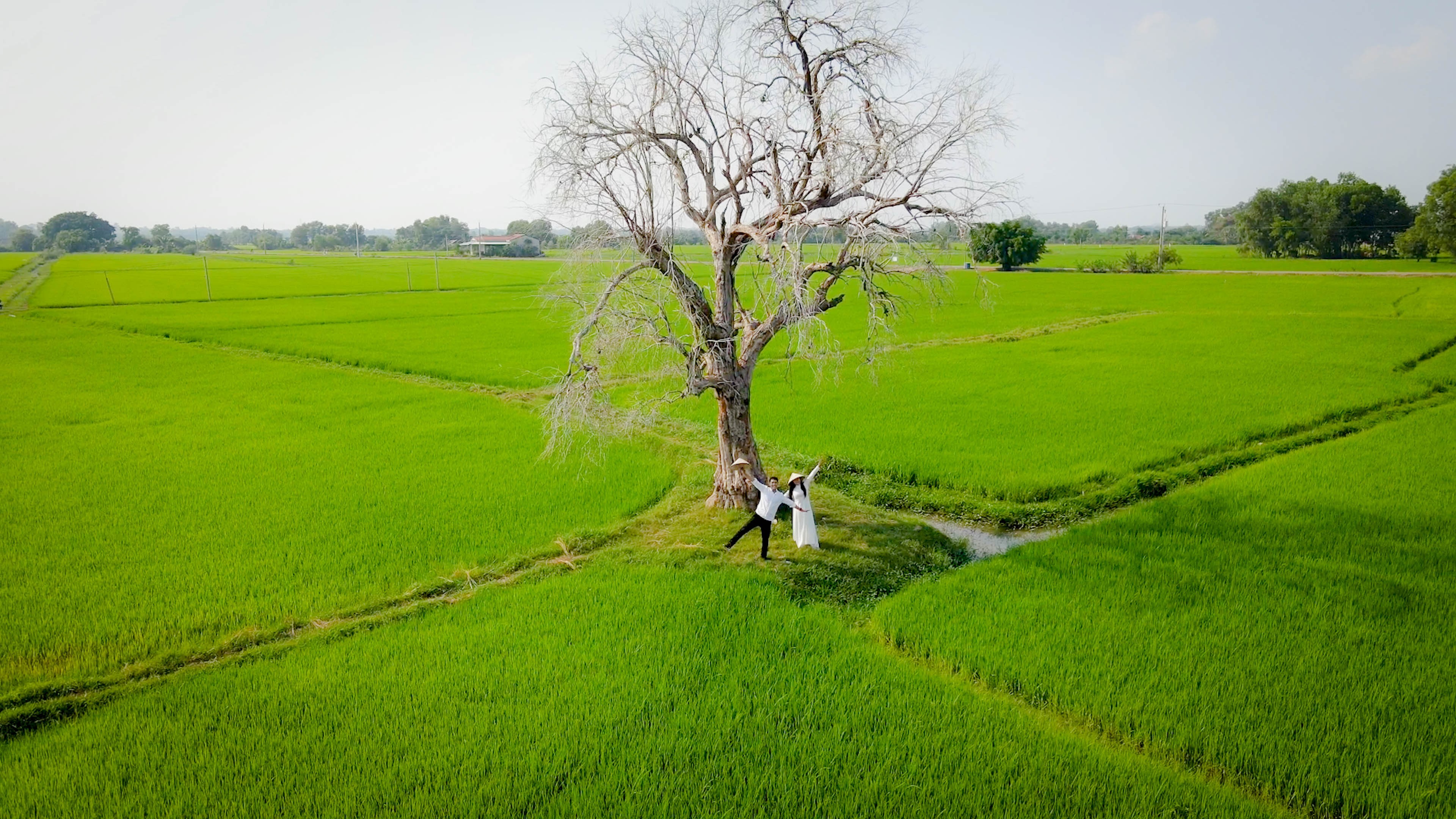 Đến núi Bà Đen Tây Ninh linh thiêng "săn" ảnh đẹp tựa thiên đường