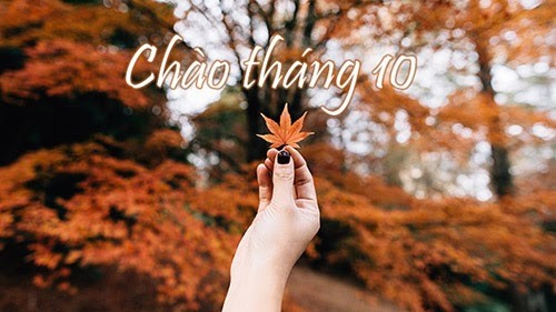 Tháng 10 cứ dịu dàng mà sâu lắng nỗi nhớ nhung...