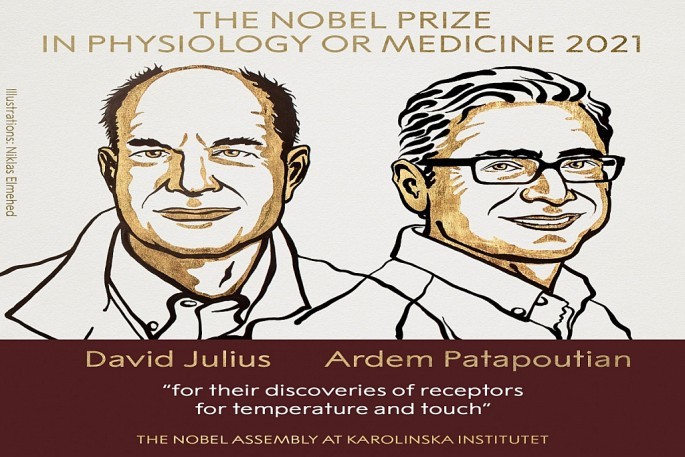 Giải Nobel Y học 2021 vinh danh 2 nhà sinh học người Mỹ về cơ chế thụ cảm nhiệt độ và xúc giác