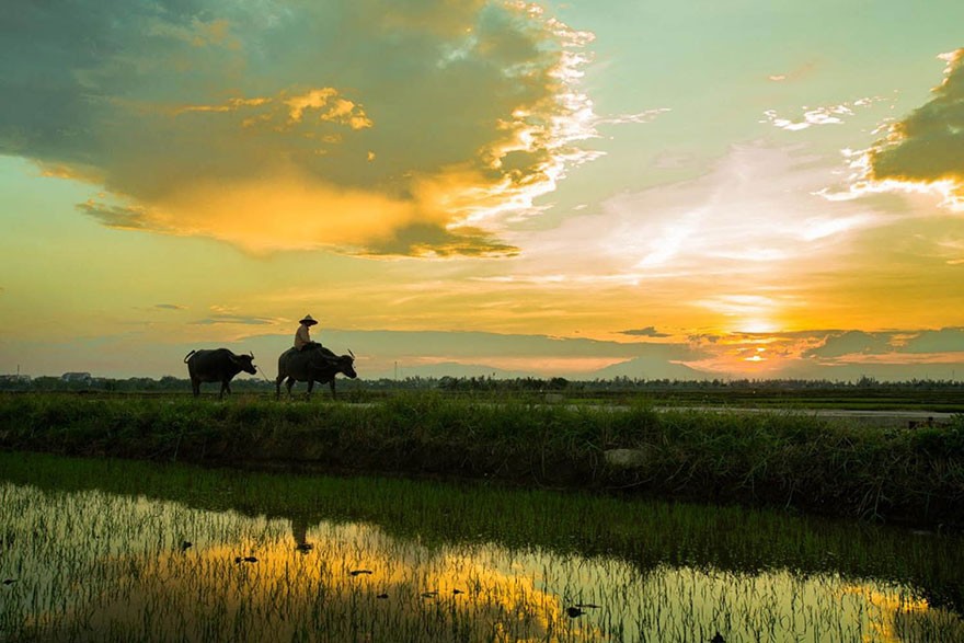 Đường về nhà