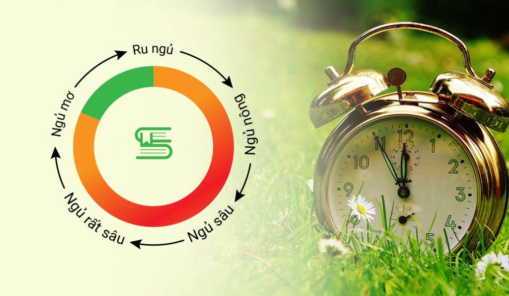 Bí quyết thức dậy lúc 5 giờ 30 sáng không lo mệt mỏi