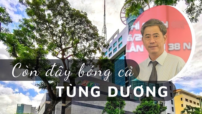 Còn đây bóng cả Tùng Dương!