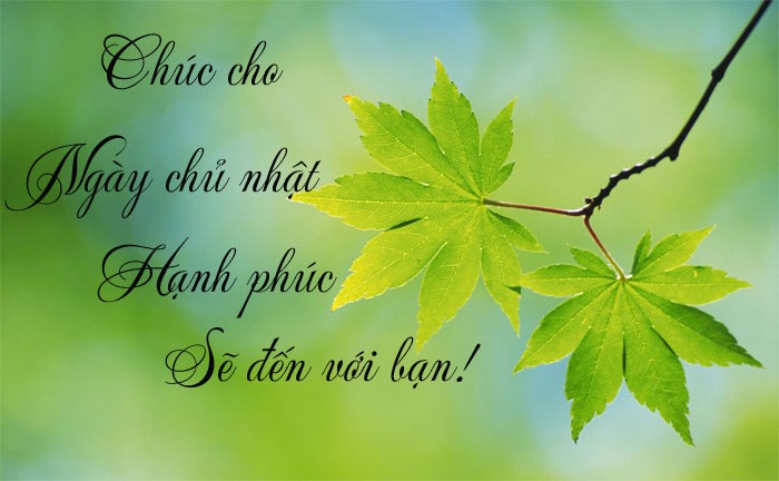 Tổng hợp những lời chúc ngày chủ nhật hạnh phúc, ấm áp và tràn đầy yêu thương