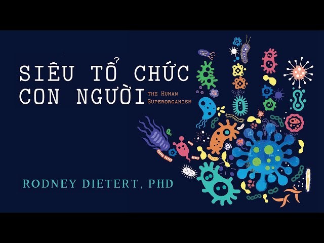Siêu tổ chức con người