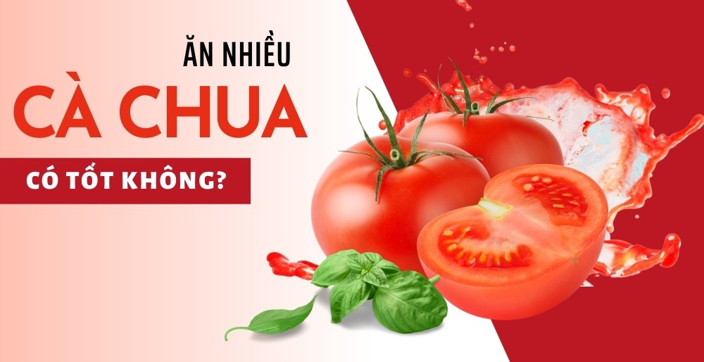 Vì sao nên ăn cà chua? Ăn cà chua sống hay nấu chín sẽ tốt hơn?