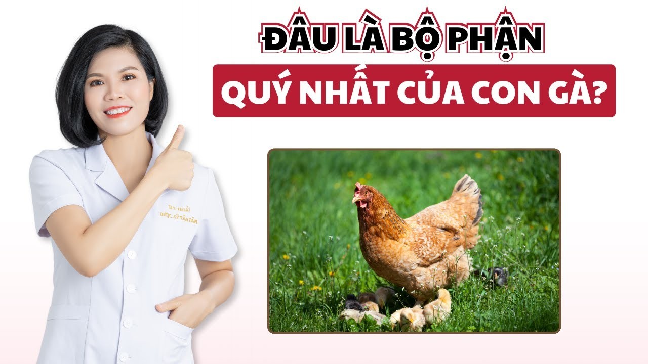 Bạn có biết: Mật gà những tưởng là thứ bỏ đi nhưng lại là vị thuốc dân gian quý?