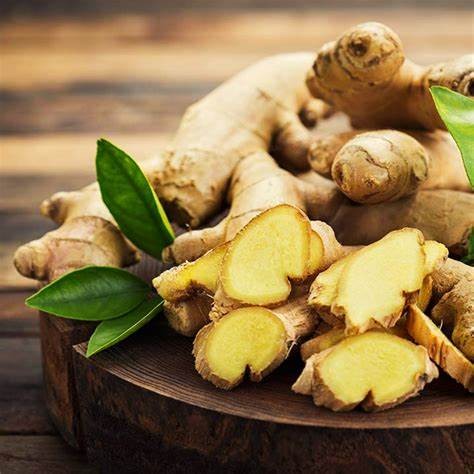 Gừng vừa là vị thuốc vừa là độc dược