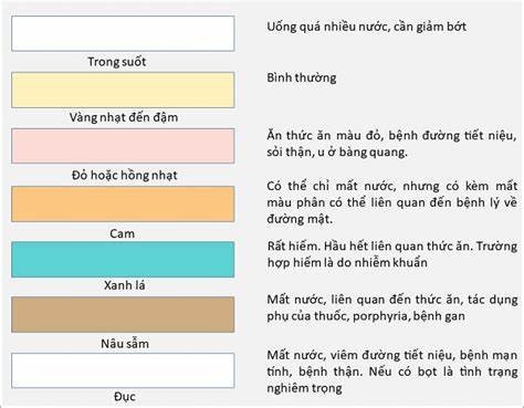 8 dấu hiệu bất thường của nước tiểu mà bạn nên lưu ý