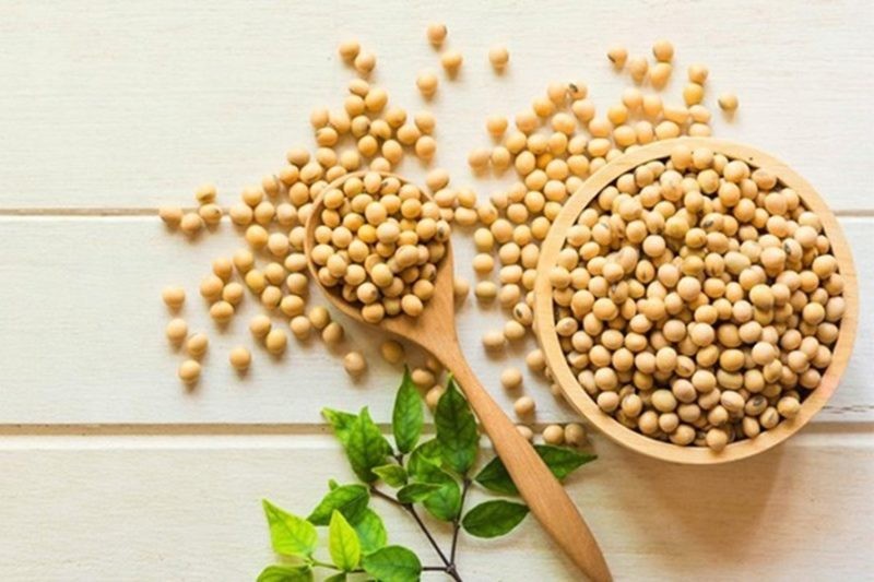 Thực hư câu chuyện: Ăn nhiều đậu nành sẽ gây hại cho bệnh nhân ung thư vú?