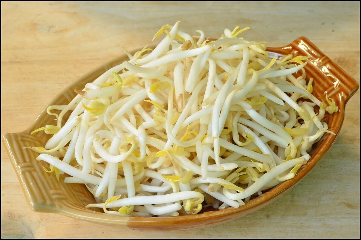 Mách bạn cách làm giá đỗ tại nhà