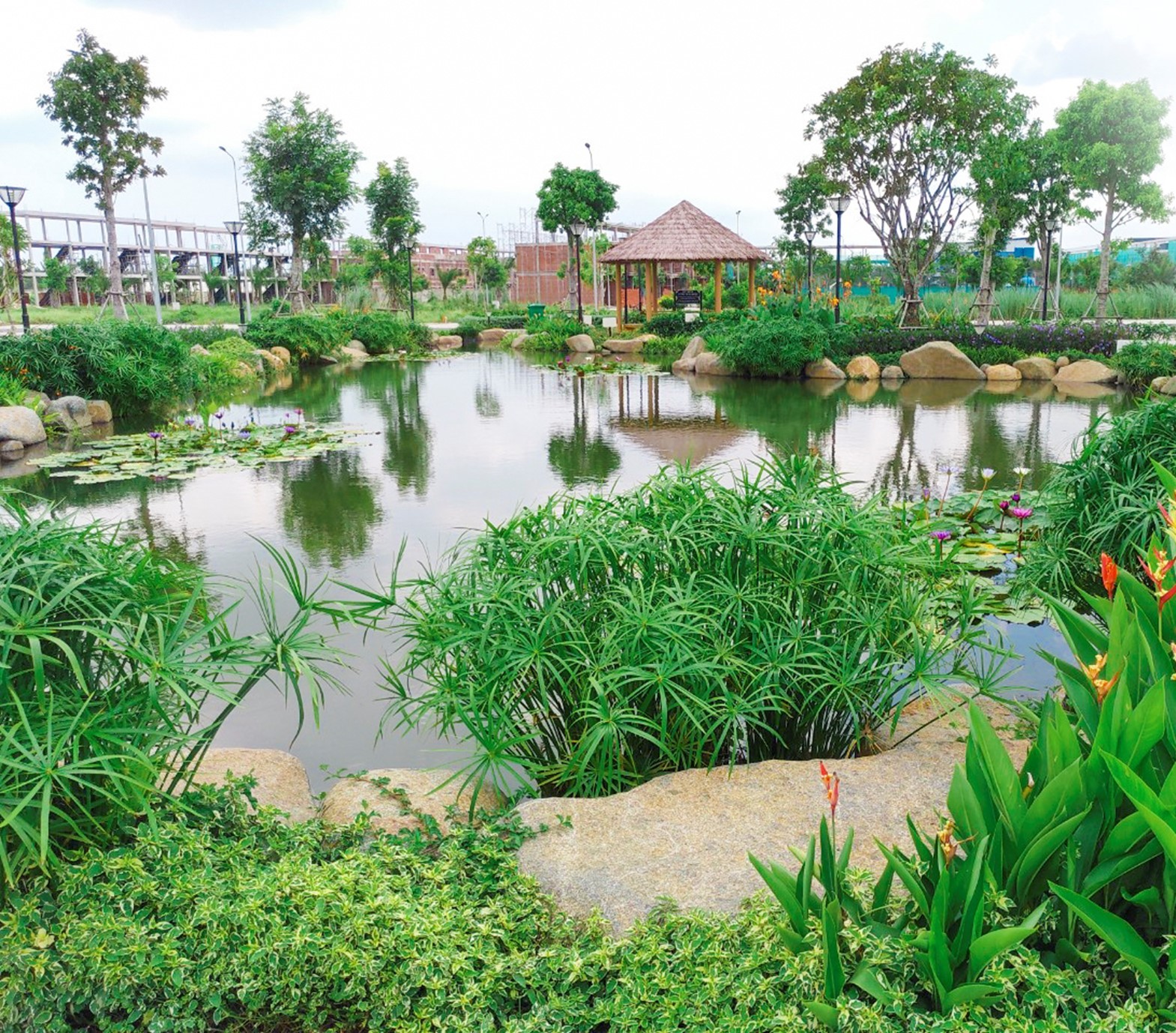 Người dân đang có xu hướng “bỏ phố về quê”, xa hành phố để mong có cuộc sống an bình