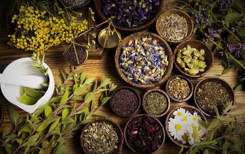 Những bài thuốc chữa sỏi thận dân gian không phải ai cũng biết