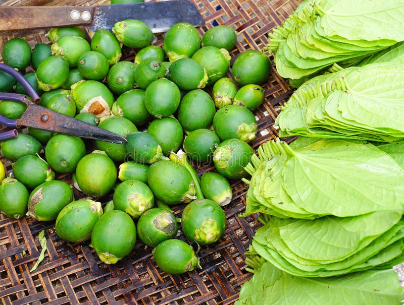 Một số bài thuốc dân gian từ quả cau cực kỳ hiệu quả mà ít người biết