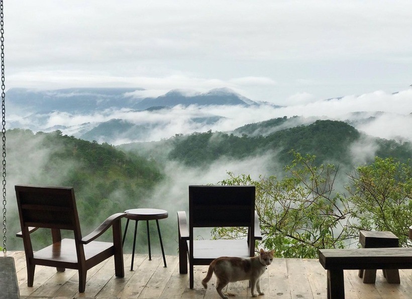 10 quán cà phê cực “Chill” nhất định không được bỏ lỡ khi đến Đà Lạt