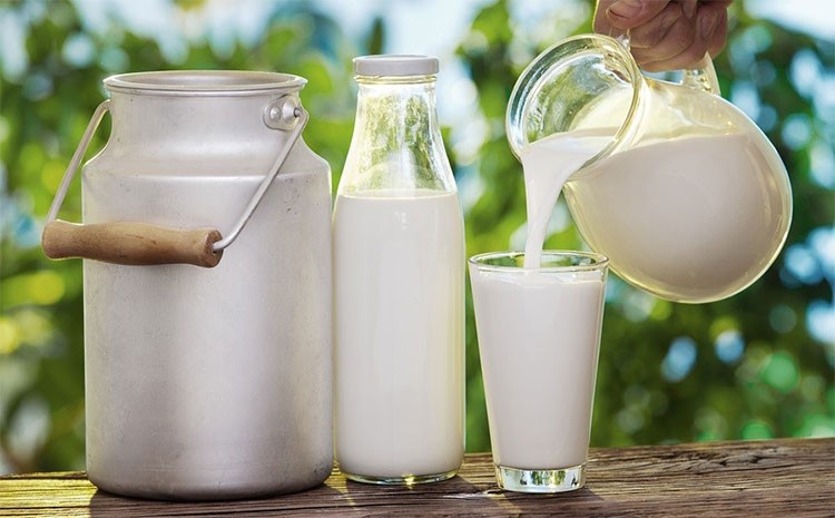 Bảo quản sữa tươi, sữa chua không đúng cách sẽ gây nguy hại đến sức khỏe