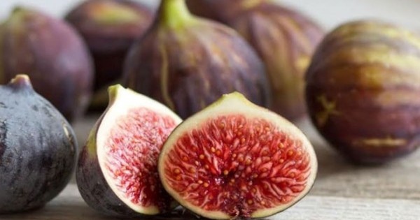 11 bài thuốc y học cổ truyền chữa bệnh hữu nghiệm từ quả sung