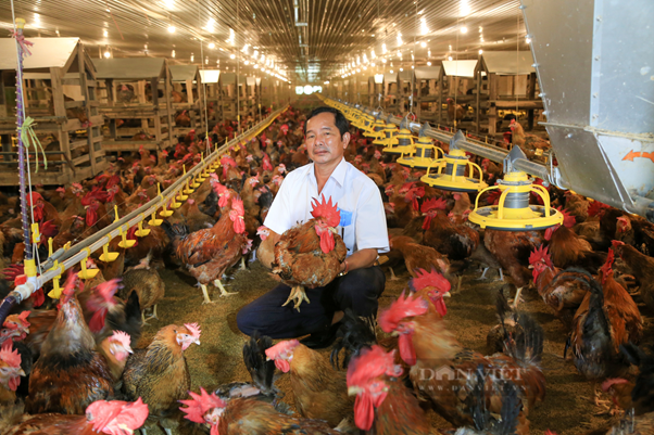 Nông dân giỏi ở Bình Dương đạt thu nhập 90 tỉ đồng mỗi năm