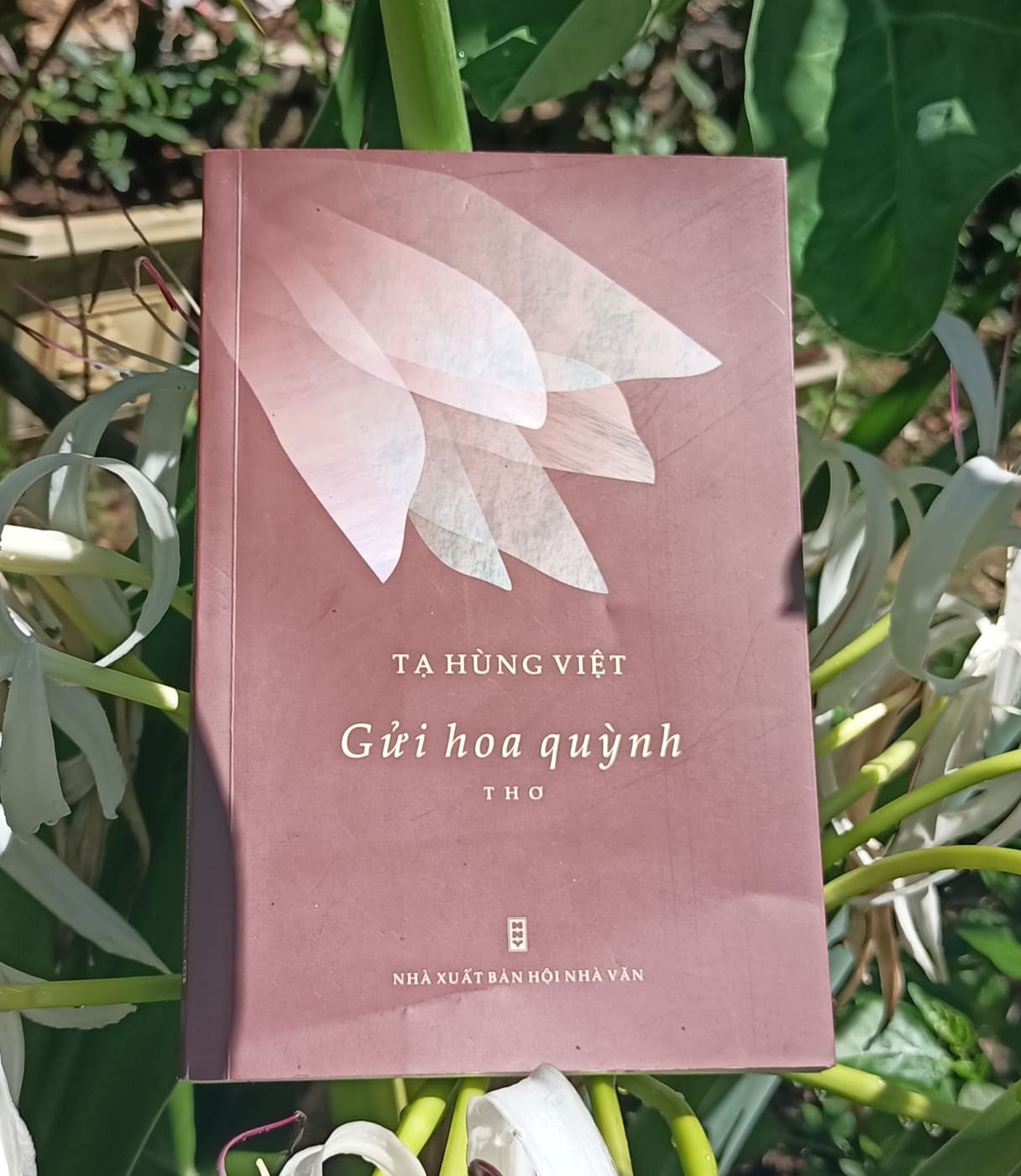 ‘Gửi hoa quỳnh’ – Gửi trọn bao niềm thương nhớ đầy vơi