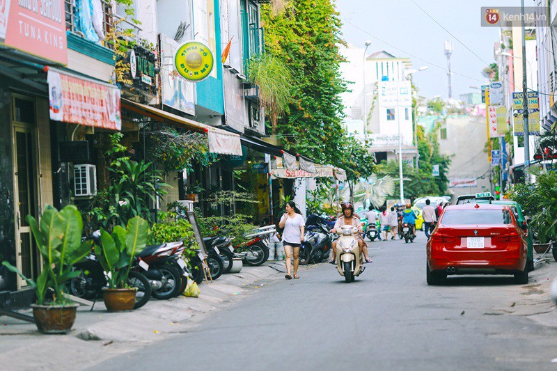 Xóm nước đen ngày ấy và chuyện 13 con đường mang tên các loài hoa ở khu Phan Xích Long Sài Gòn