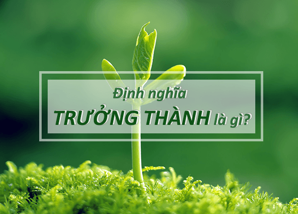 Hiểu như thế nào cho đúng về Trưởng Thành? Nó đáng giá bao nhiêu?