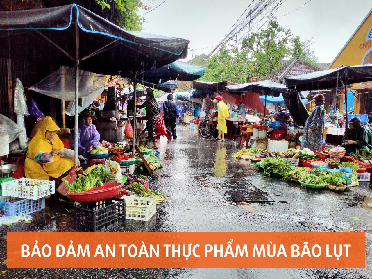 Mùa lũ lụt, làm gì để đảm bảo an toàn thực phẩm? 5 nguyên tắc sau chắc hữu ích với bạn!