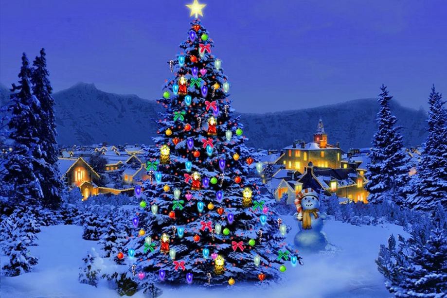 Cây thông Noel có ý nghĩa đặc biệt như thế nào với người phương Tây?