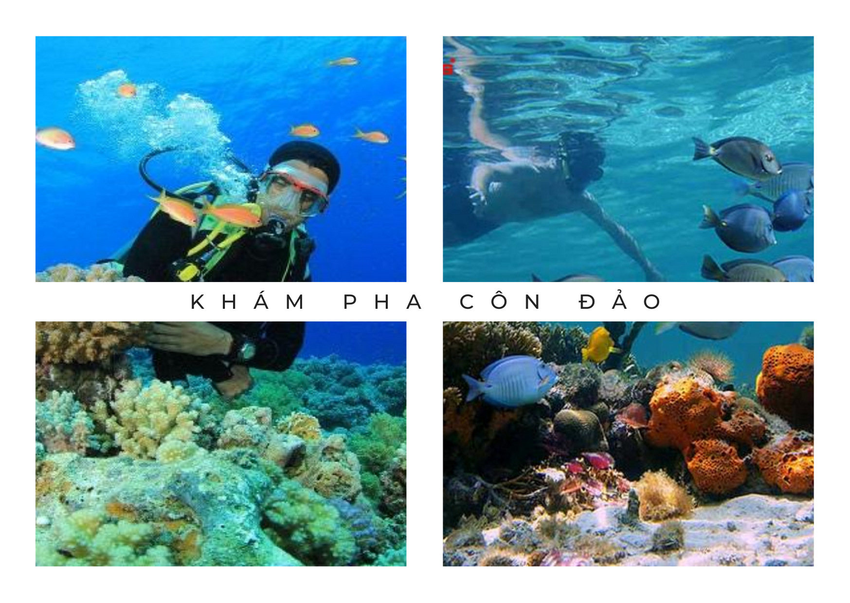 Gửi những tín đồ xê dịch: Hậu Covid nhất định phải đặt chân đến Côn Đảo để thỏa mãn cái nư với sóng biển