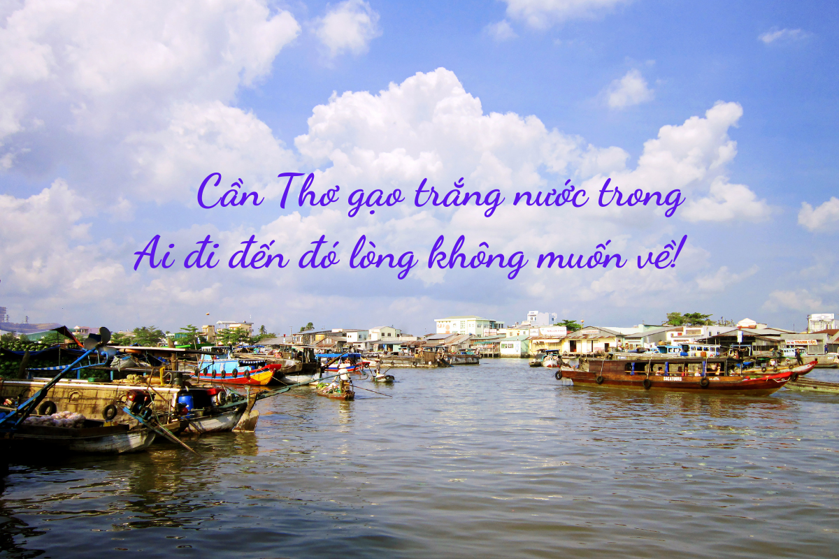 Thử một lần về miền “gạo trắng nước trong” để đi chợ nổi Cái Răng!