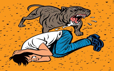 Hãy bỏ túi ngay 3 kỹ năng tránh thú hoang dã để bảo vệ bản thân