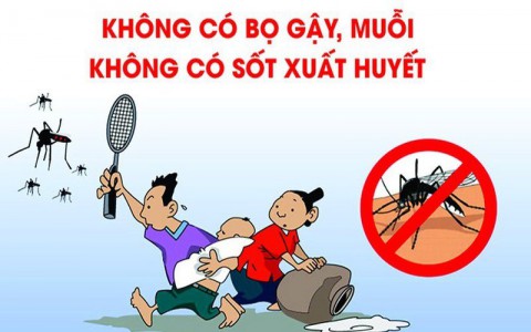 Phòng bệnh sốt xuất huyết