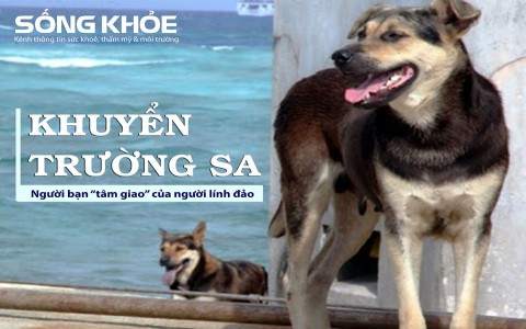 Khuyển Trường Sa - Người bạn “tâm giao” của người lính đảo