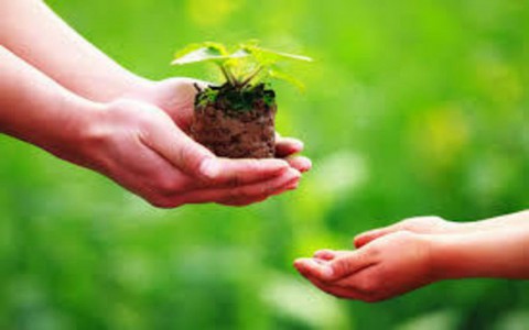 Người xưa có câu "Gieo nhân nào, gặt quả đó", câu chuyện sau sẽ chứng minh tất cả!