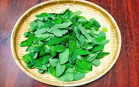 Những công dụng không ngờ của của rau ngót không phải ai cũng biết