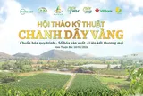 Chanh dây vàng – Hướng đi mới cho nông nghiệp Hàm Thuận Bắc, Lâm Đồng