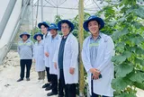 Tập đoàn MATSUDA SANGYO Nhật Bản thăm & kiểm tra vườn dưa lưới Eden Farm Bình Thuận