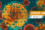 Những câu hỏi thường gặp nhất về đại dịch Covid-19 mà không phải ai cũng biết