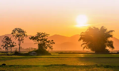 ‘Về làng’ - Cái tôi nặng lòng với quê hương, xứ sở